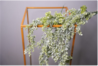 Эвкалипт ампельный Зеленый с напылением 75 см  т.м.300 (2) 88046122