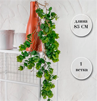 {{photo.Alt || photo.Description || 'Эвкалипт ампельный Цинерия 85 см  т.м. 300'}}