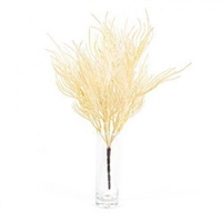 Эктокарпус Белый 38 см  т.м.1200 (2) 88041879