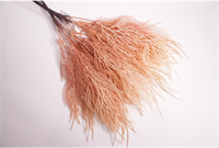 Эктокарпус Бледно-розовый 38 см  т.м.1200 (2) 88045034