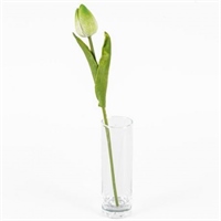 {{photo.Alt || photo.Description || 'Тюльпан Зеленый 30см 1шт'}}