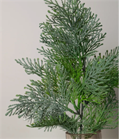 {{photo.Alt || photo.Description || 'Ветка Туи 50см'}}