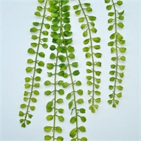 Ветка зелени 96см 87995594