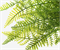 Ветка папоротника 40см 88041983