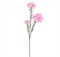 Гвоздика Розовая 75см 88040658