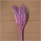 Сухой колос пшеницы, набор 50 шт., фиолетовый 4447384