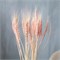 Сухой колос пшеницы, набор 50 шт, цвет розовый 4447389