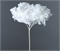 Сухоцвет "Гортензия", длина 60-70 см, диаметр цветка 20 см, 50-60 гр. белый 88049821