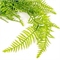 Папоротник ампельный Зеленый 95 см  т.м.300 (2) 88045042